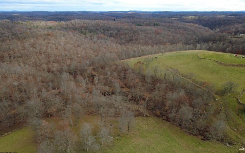 9505 Route 20 South Road, French Creek, West Virginia 26218-9999, ,Lots/land,For Sale,Route 20 South,10162616