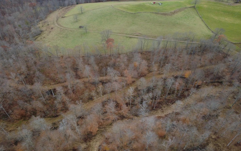 9505 Route 20 South Road, French Creek, West Virginia 26218-9999, ,Lots/land,For Sale,Route 20 South,10162616