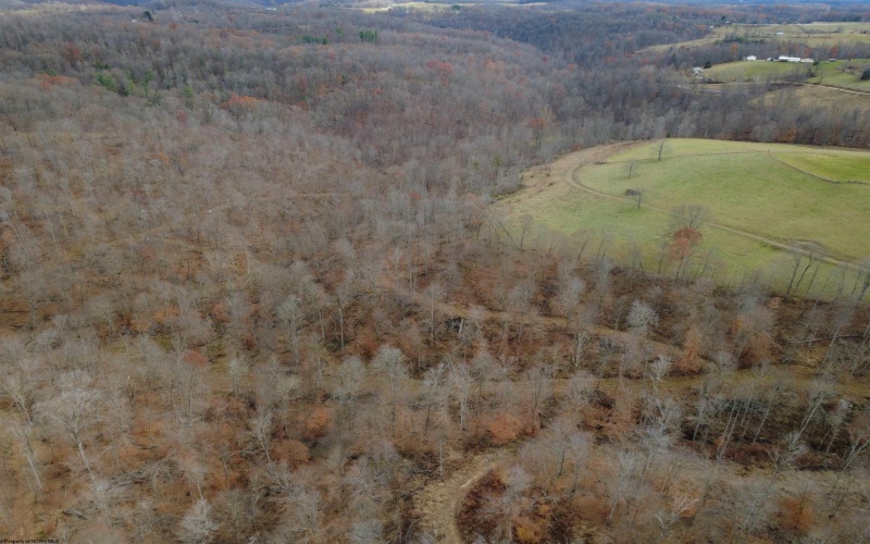 9505 Route 20 South Road, French Creek, West Virginia 26218-9999, ,Lots/land,For Sale,Route 20 South,10162616