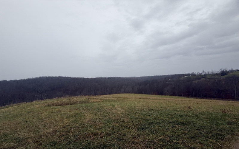 9505 Route 20 South Road, French Creek, West Virginia 26218-9999, ,Lots/land,For Sale,Route 20 South,10162616