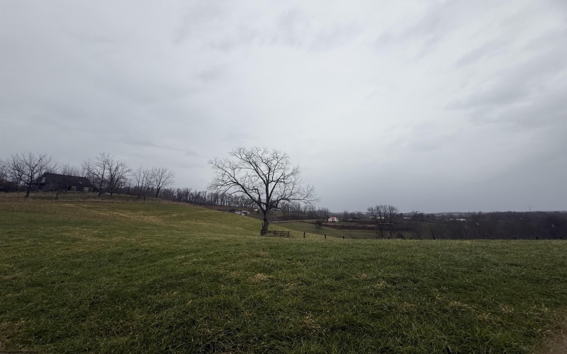 9505 Route 20 South Road, French Creek, West Virginia 26218-9999, ,Lots/land,For Sale,Route 20 South,10162616