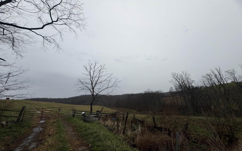 9505 Route 20 South Road, French Creek, West Virginia 26218-9999, ,Lots/land,For Sale,Route 20 South,10162616
