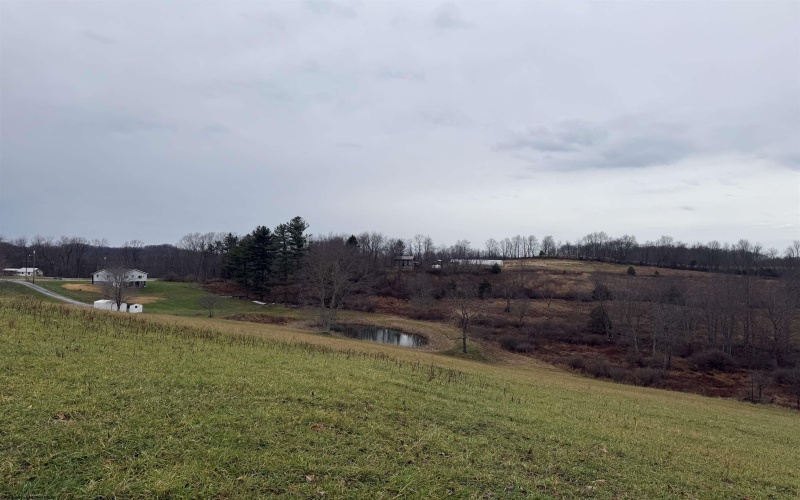 9505 Route 20 South Road, French Creek, West Virginia 26218-9999, ,Lots/land,For Sale,Route 20 South,10162616