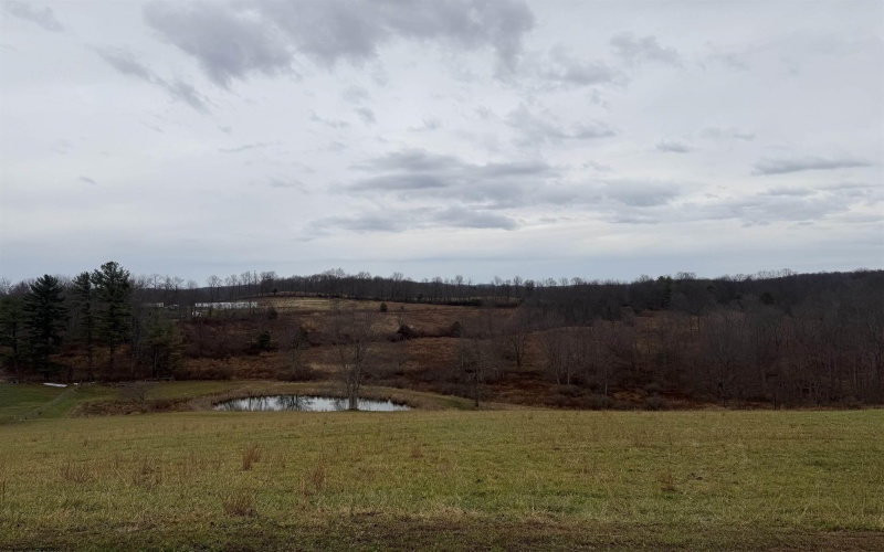 9505 Route 20 South Road, French Creek, West Virginia 26218-9999, ,Lots/land,For Sale,Route 20 South,10162616