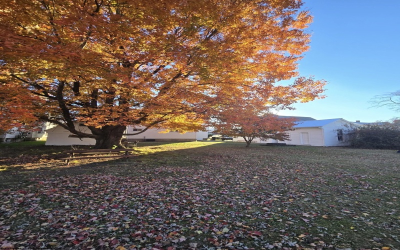 100 main Street, Buckhannon, West Virginia 26201, 4 Bedrooms Bedrooms, 7 Rooms Rooms,1 BathroomBathrooms,Single Family Detached,For Sale,main,10162619 100 main Street, Buckhannon, West Virginia 26201, 4 Bedrooms Bedrooms, 7 Rooms Rooms,1 BathroomBathrooms,Single Family Detached,For Sale,main,10162619