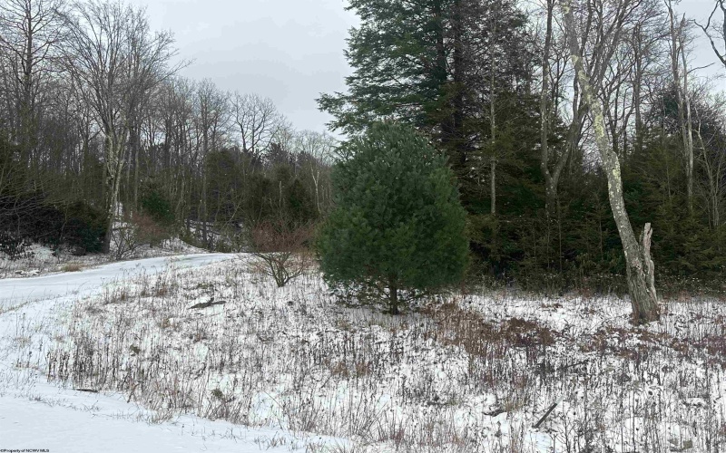 Lot 85 Gondola Court, Davis, West Virginia 26260, ,Lots/land,For Sale,Gondola,10162632