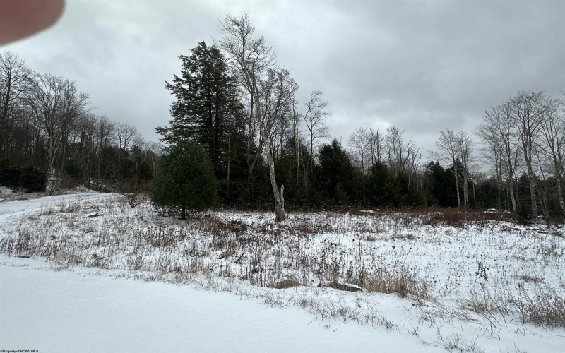 Lot 85 Gondola Court, Davis, West Virginia 26260, ,Lots/land,For Sale,Gondola,10162632