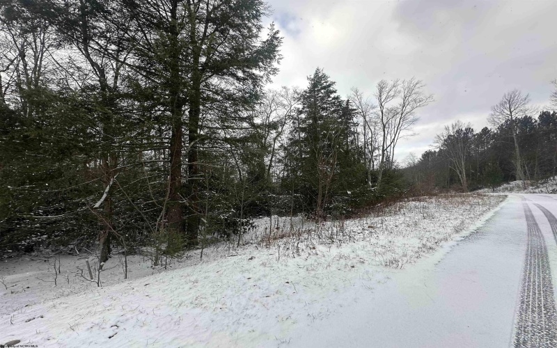 Lot 86 Gondola Court, Davis, West Virginia 26260, ,Lots/land,For Sale,Gondola,10162633 Lot 86 Gondola Court, Davis, West Virginia 26260, ,Lots/land,For Sale,Gondola,10162633
