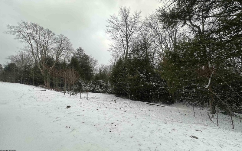 Lot 86 Gondola Court, Davis, West Virginia 26260, ,Lots/land,For Sale,Gondola,10162633 Lot 86 Gondola Court, Davis, West Virginia 26260, ,Lots/land,For Sale,Gondola,10162633