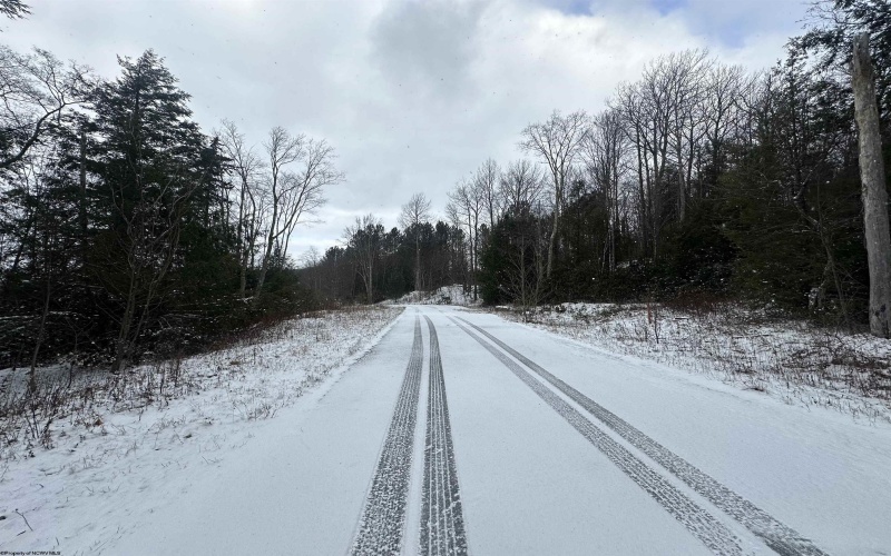 Lot 86 Gondola Court, Davis, West Virginia 26260, ,Lots/land,For Sale,Gondola,10162633 Lot 86 Gondola Court, Davis, West Virginia 26260, ,Lots/land,For Sale,Gondola,10162633