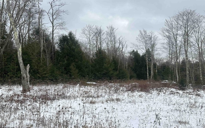 Lot 86 Gondola Court, Davis, West Virginia 26260, ,Lots/land,For Sale,Gondola,10162633 Lot 86 Gondola Court, Davis, West Virginia 26260, ,Lots/land,For Sale,Gondola,10162633