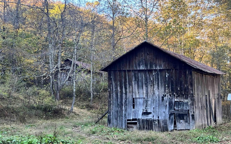 8000 Wallace Pike, Wallace, West Virginia 26448-8772, 2 Bedrooms Bedrooms, 6 Rooms Rooms,1 BathroomBathrooms,Single Family Detached,For Sale,Wallace,10162629 8000 Wallace Pike, Wallace, West Virginia 26448-8772, 2 Bedrooms Bedrooms, 6 Rooms Rooms,1 BathroomBathrooms,Single Family Detached,For Sale,Wallace,10162629