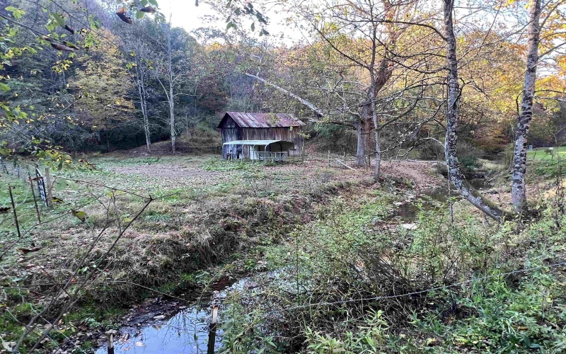 8000 Wallace Pike, Wallace, West Virginia 26448-8772, 2 Bedrooms Bedrooms, 6 Rooms Rooms,1 BathroomBathrooms,Single Family Detached,For Sale,Wallace,10162629 8000 Wallace Pike, Wallace, West Virginia 26448-8772, 2 Bedrooms Bedrooms, 6 Rooms Rooms,1 BathroomBathrooms,Single Family Detached,For Sale,Wallace,10162629