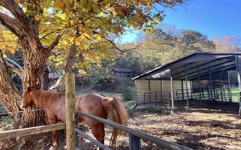 8000 Wallace Pike, Wallace, West Virginia 26448-8772, 2 Bedrooms Bedrooms, 6 Rooms Rooms,1 BathroomBathrooms,Single Family Detached,For Sale,Wallace,10162629 8000 Wallace Pike, Wallace, West Virginia 26448-8772, 2 Bedrooms Bedrooms, 6 Rooms Rooms,1 BathroomBathrooms,Single Family Detached,For Sale,Wallace,10162629