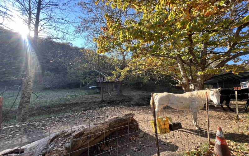 8000 Wallace Pike, Wallace, West Virginia 26448-8772, 2 Bedrooms Bedrooms, 6 Rooms Rooms,1 BathroomBathrooms,Single Family Detached,For Sale,Wallace,10162629 8000 Wallace Pike, Wallace, West Virginia 26448-8772, 2 Bedrooms Bedrooms, 6 Rooms Rooms,1 BathroomBathrooms,Single Family Detached,For Sale,Wallace,10162629