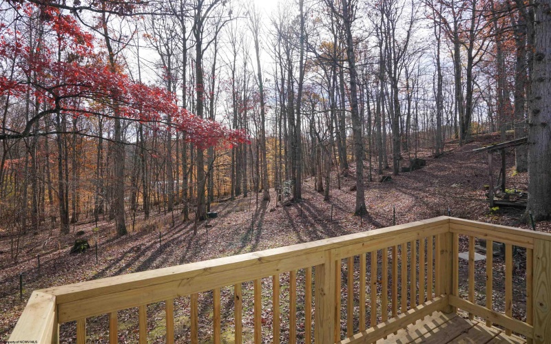 789 Teaberry Hills Lane, Elkins, West Virginia 26241, 3 Bedrooms Bedrooms, 6 Rooms Rooms,1 BathroomBathrooms,Single Family Detached,For Sale,Teaberry Hills,10162627 789 Teaberry Hills Lane, Elkins, West Virginia 26241, 3 Bedrooms Bedrooms, 6 Rooms Rooms,1 BathroomBathrooms,Single Family Detached,For Sale,Teaberry Hills,10162627