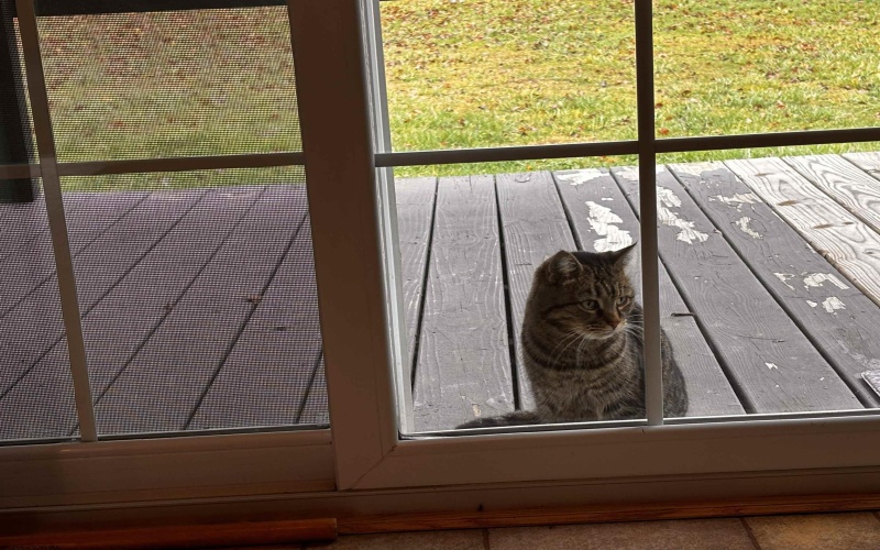 2090 Big Flint Road, Salem, West Virginia 26426, 3 Bedrooms Bedrooms, 8 Rooms Rooms,2 BathroomsBathrooms,Single Family Detached,For Sale,Big Flint,10162638