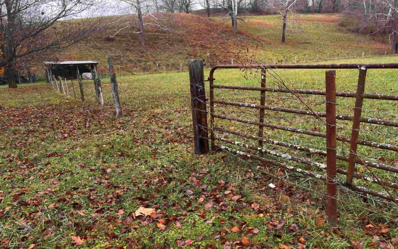 2090 Big Flint Road, Salem, West Virginia 26426, 3 Bedrooms Bedrooms, 8 Rooms Rooms,2 BathroomsBathrooms,Single Family Detached,For Sale,Big Flint,10162638