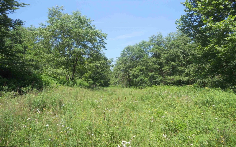 595 Wades Run and Bowlby Road, Morgantown, West Virginia 26501, ,Lots/land,For Sale,Wades Run and Bowlby,10152114