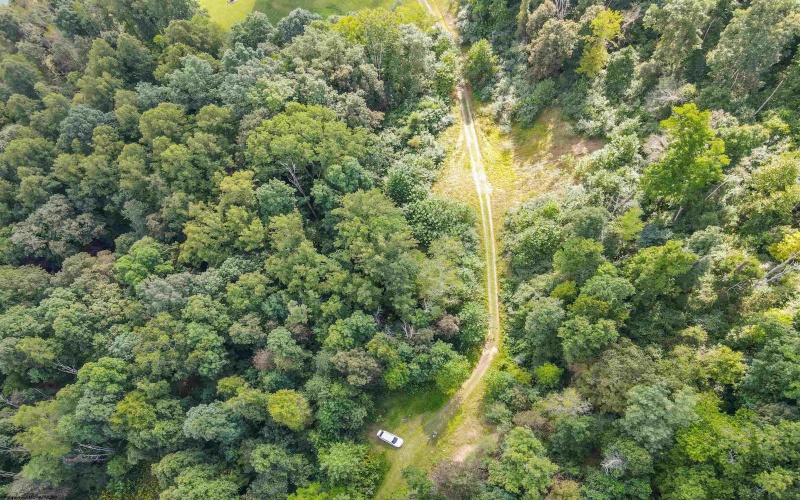 00 Lakeview Drive, Horner, West Virginia 26372, ,Lots/land,For Sale,Lakeview,10162653