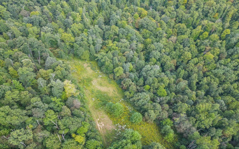 00 Lakeview Drive, Horner, West Virginia 26372, ,Lots/land,For Sale,Lakeview,10162653