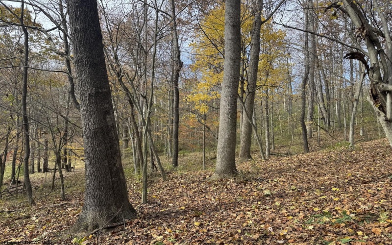 615 Mills Street, West Milford, West Virginia 26451, 3 Bedrooms Bedrooms, 6 Rooms Rooms,2 BathroomsBathrooms,Single Family Detached,For Sale,Mills,10162651