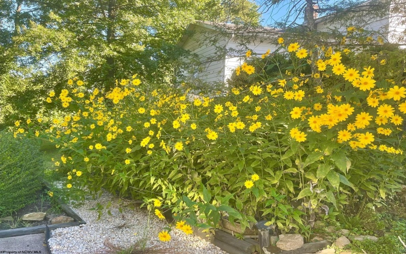 121 Diamond Court, Morgantown, West Virginia 26505, 4 Bedrooms Bedrooms, 8 Rooms Rooms,2 BathroomsBathrooms,Single Family Detached,For Sale,Diamond,10162646 121 Diamond Court, Morgantown, West Virginia 26505, 4 Bedrooms Bedrooms, 8 Rooms Rooms,2 BathroomsBathrooms,Single Family Detached,For Sale,Diamond,10162646