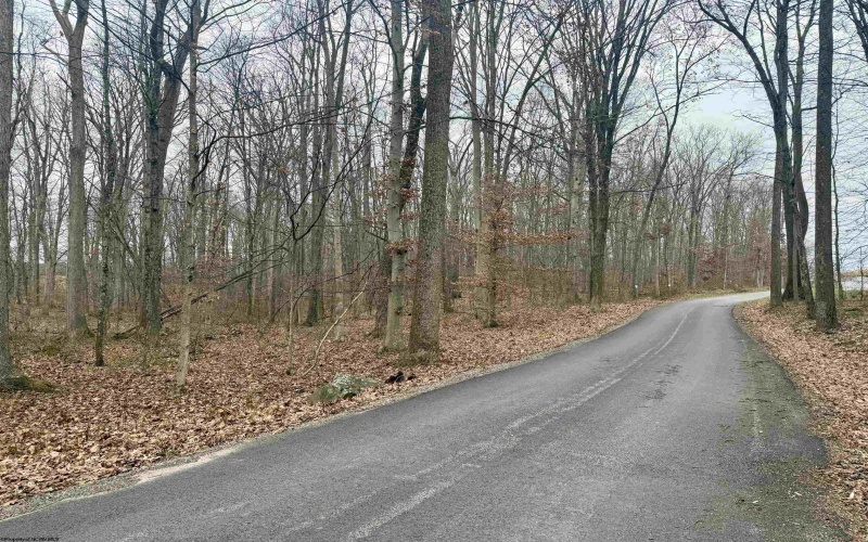 Lot 1 Ludwig Road, Grafton, West Virginia 26534, ,Lots/land,For Sale,Ludwig,10162656 Lot 1 Ludwig Road, Grafton, West Virginia 26534, ,Lots/land,For Sale,Ludwig,10162656