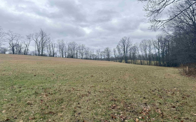 Lot 1 Ludwig Road, Grafton, West Virginia 26534, ,Lots/land,For Sale,Ludwig,10162656 Lot 1 Ludwig Road, Grafton, West Virginia 26534, ,Lots/land,For Sale,Ludwig,10162656