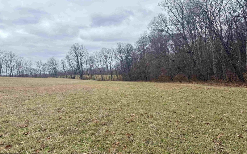 Lot 1 Ludwig Road, Grafton, West Virginia 26534, ,Lots/land,For Sale,Ludwig,10162656 Lot 1 Ludwig Road, Grafton, West Virginia 26534, ,Lots/land,For Sale,Ludwig,10162656