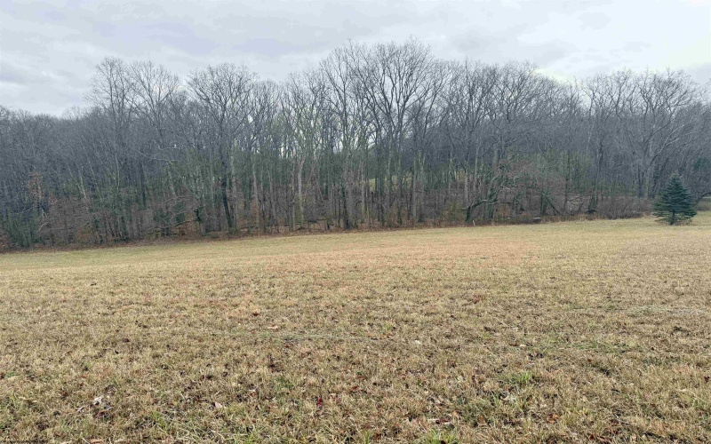 Lot 1 Ludwig Road, Grafton, West Virginia 26534, ,Lots/land,For Sale,Ludwig,10162656 Lot 1 Ludwig Road, Grafton, West Virginia 26534, ,Lots/land,For Sale,Ludwig,10162656