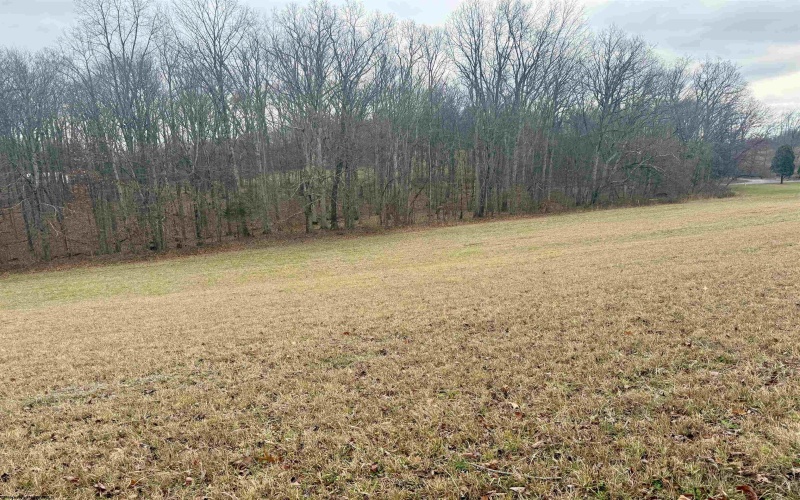 Lot 1 Ludwig Road, Grafton, West Virginia 26534, ,Lots/land,For Sale,Ludwig,10162656 Lot 1 Ludwig Road, Grafton, West Virginia 26534, ,Lots/land,For Sale,Ludwig,10162656