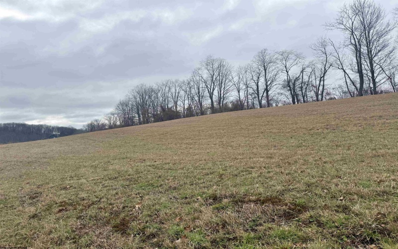 Lot 1 Ludwig Road, Grafton, West Virginia 26534, ,Lots/land,For Sale,Ludwig,10162656 Lot 1 Ludwig Road, Grafton, West Virginia 26534, ,Lots/land,For Sale,Ludwig,10162656
