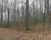 Lot 1 Ludwig Road, Grafton, West Virginia 26534, ,Lots/land,For Sale,Ludwig,10162656 Lot 1 Ludwig Road, Grafton, West Virginia 26534, ,Lots/land,For Sale,Ludwig,10162656