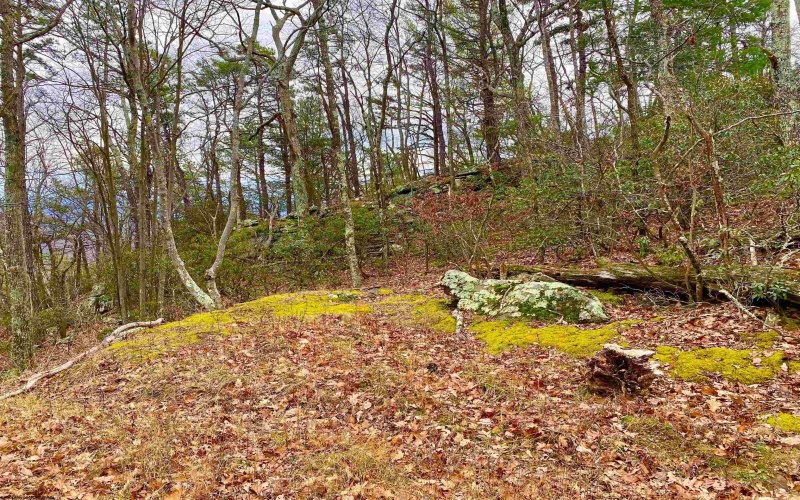 0 Route 33 (RR), Franklin, West Virginia 26807, ,Lots/land,For Sale,Route 33,10162658