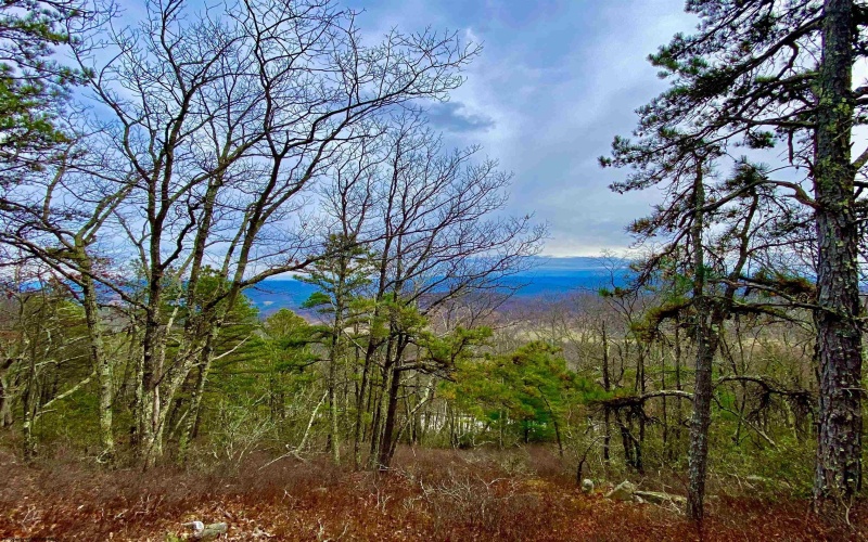 0 Route 33 (RR), Franklin, West Virginia 26807, ,Lots/land,For Sale,Route 33,10162658