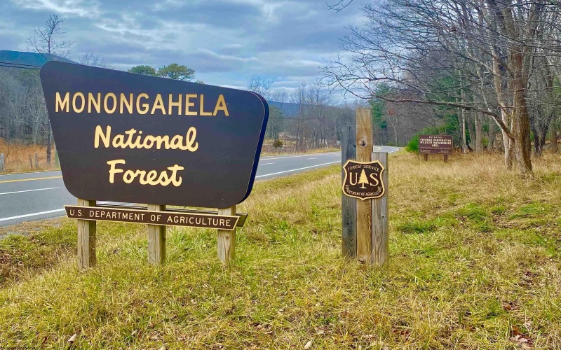 0 Route 33 (RR), Franklin, West Virginia 26807, ,Lots/land,For Sale,Route 33,10162658