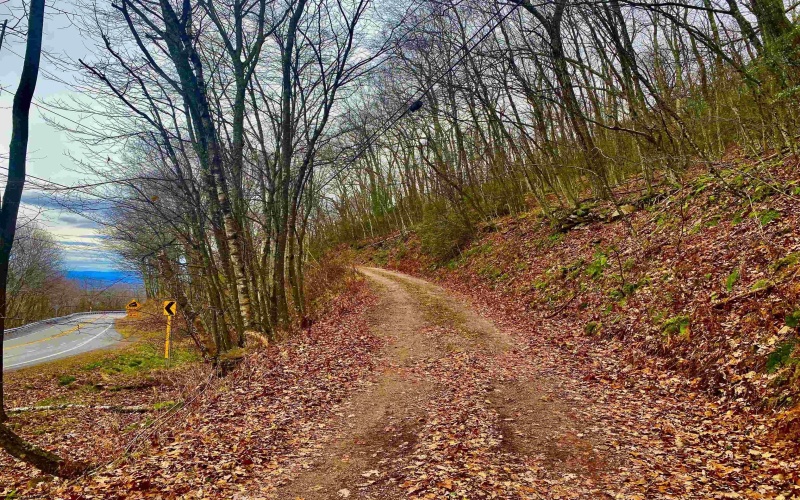 0 Route 33 (RR), Franklin, West Virginia 26807, ,Lots/land,For Sale,Route 33,10162658