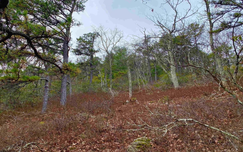 0 Route 33 (RR), Franklin, West Virginia 26807, ,Lots/land,For Sale,Route 33,10162658