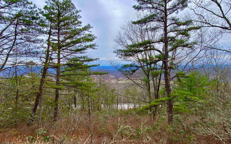 0 Route 33 (RR), Franklin, West Virginia 26807, ,Lots/land,For Sale,Route 33,10162658