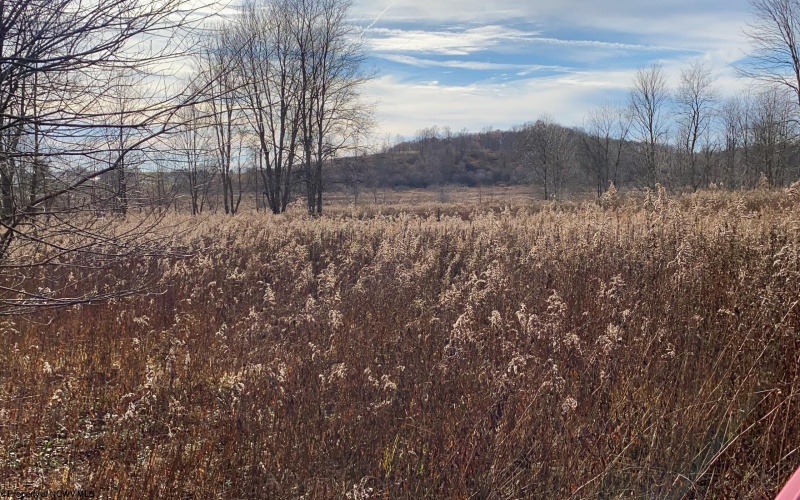 23247 Preston Highway, Bruceton Mills, West Virginia 26525, ,Lots/land,For Sale,Preston,10162665