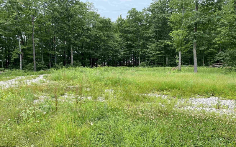 23247 Preston Highway, Bruceton Mills, West Virginia 26525, ,Lots/land,For Sale,Preston,10162665