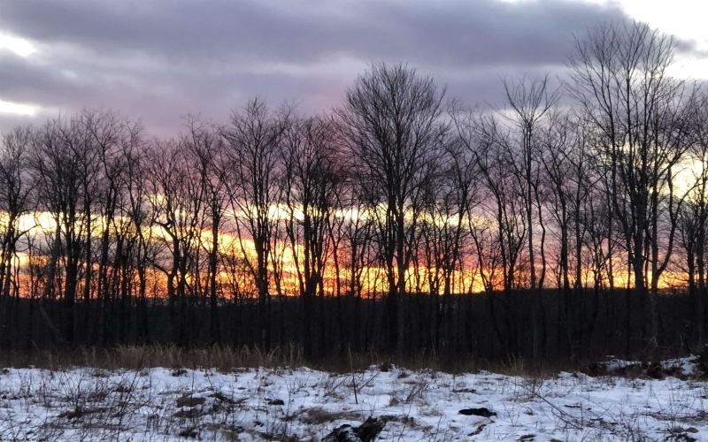 23247 Preston Highway, Bruceton Mills, West Virginia 26525, ,Lots/land,For Sale,Preston,10162665