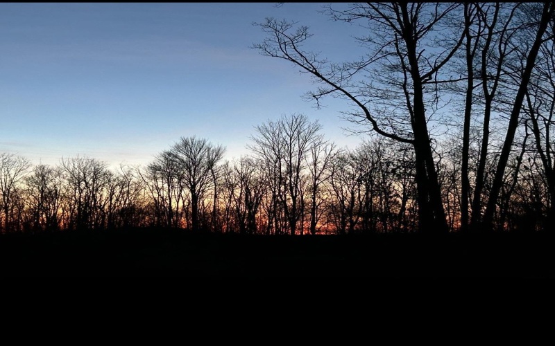 23247 Preston Highway, Bruceton Mills, West Virginia 26525, ,Lots/land,For Sale,Preston,10162665