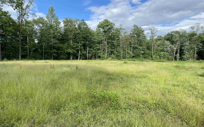 23247 Preston Highway, Bruceton Mills, West Virginia 26525, ,Lots/land,For Sale,Preston,10162665