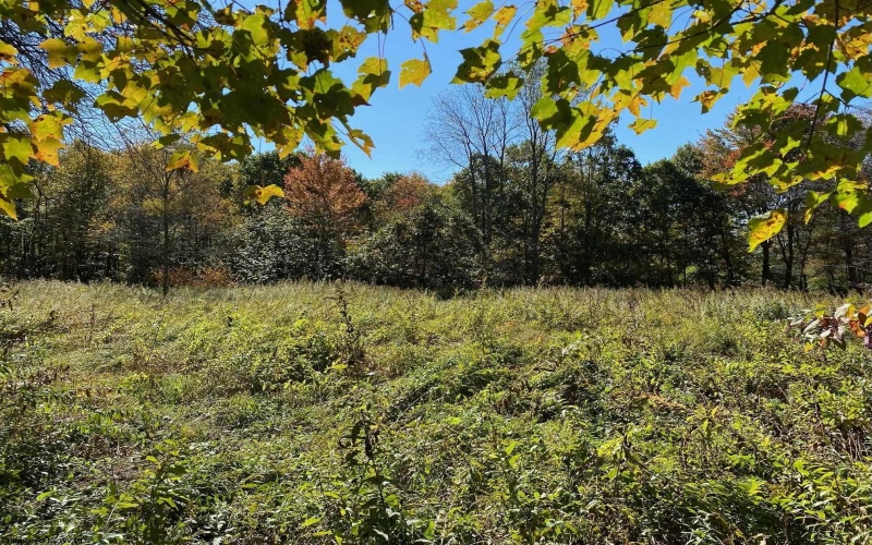 23247 Preston Highway, Bruceton Mills, West Virginia 26525, ,Lots/land,For Sale,Preston,10162665