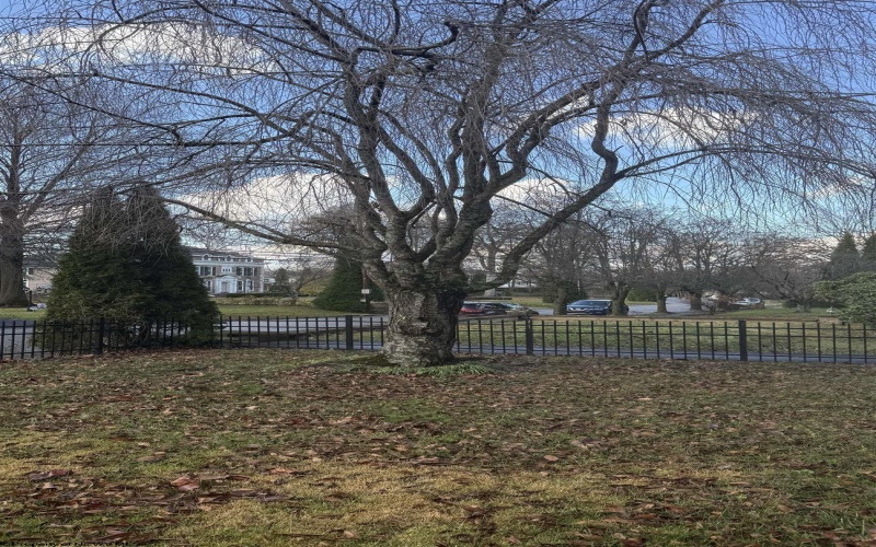 340 Buckhannon Avenue, Clarksburg, West Virginia 26301, 4 Bedrooms Bedrooms, 10 Rooms Rooms,2 BathroomsBathrooms,Single Family Detached,For Sale,Buckhannon,10162662 340 Buckhannon Avenue, Clarksburg, West Virginia 26301, 4 Bedrooms Bedrooms, 10 Rooms Rooms,2 BathroomsBathrooms,Single Family Detached,For Sale,Buckhannon,10162662