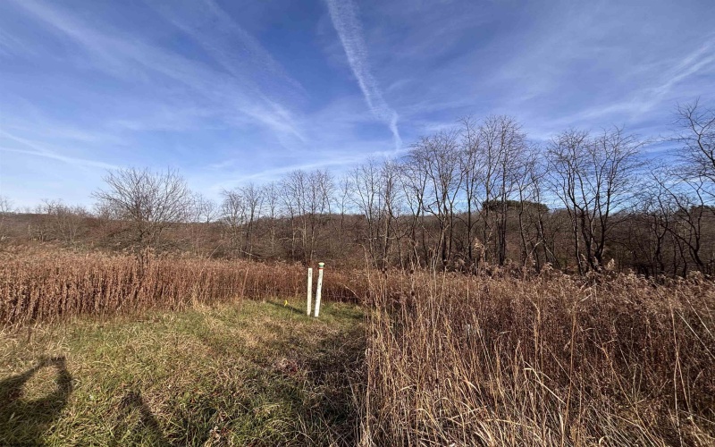 TBD Barbour County Highway, Philippi, West Virginia 26416, ,Lots/land,For Sale,Barbour County,10162671