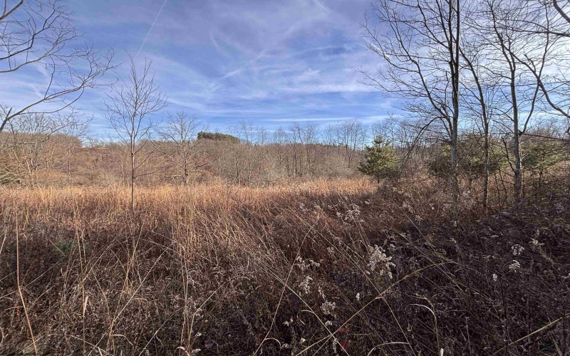 TBD Barbour County Highway, Philippi, West Virginia 26416, ,Lots/land,For Sale,Barbour County,10162671