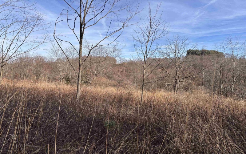 TBD Barbour County Highway, Philippi, West Virginia 26416, ,Lots/land,For Sale,Barbour County,10162671